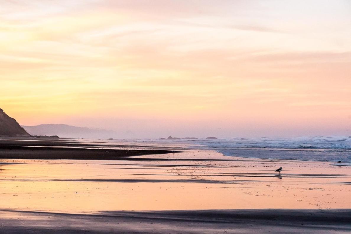 New Listing! Bay-View Beauty With Private Balcony Condo Lincoln City Exteriér fotografie
